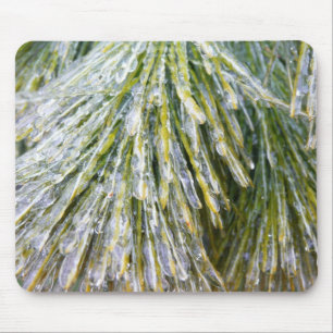 Eisbeschichtete Kiefernneedles Winter Botanisch Mousepad