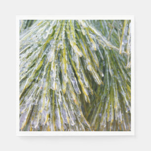Eisbeschichtete Kiefernneedles Winter Botanisch Serviette