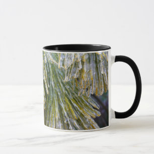 Eisbeschichtete Kiefernneedles Winter Botanisch Tasse