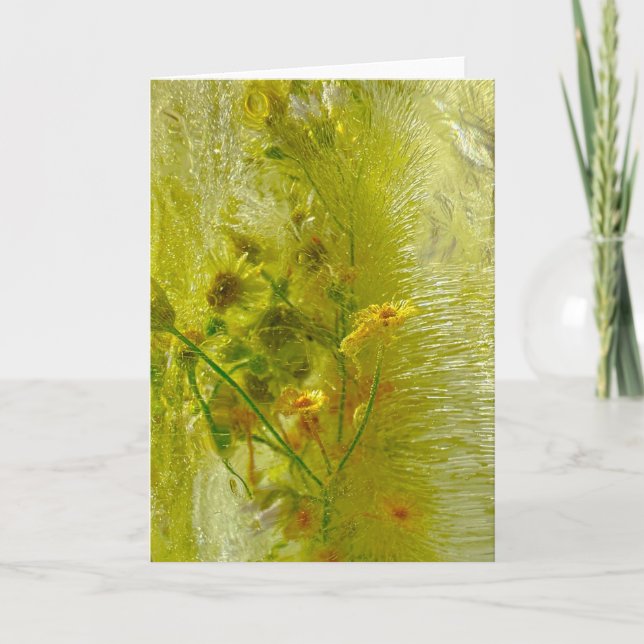 Eisblüten, Karte (Vorderseite)