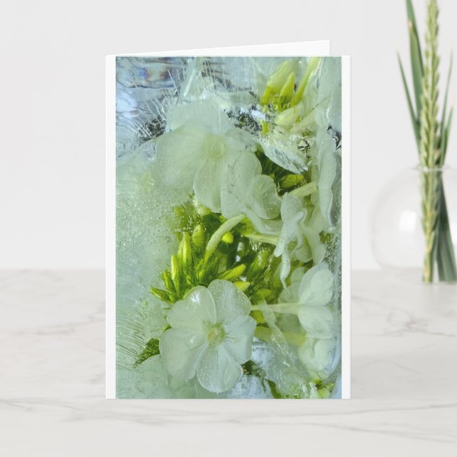 Eisblüten, Karte (Vorderseite)