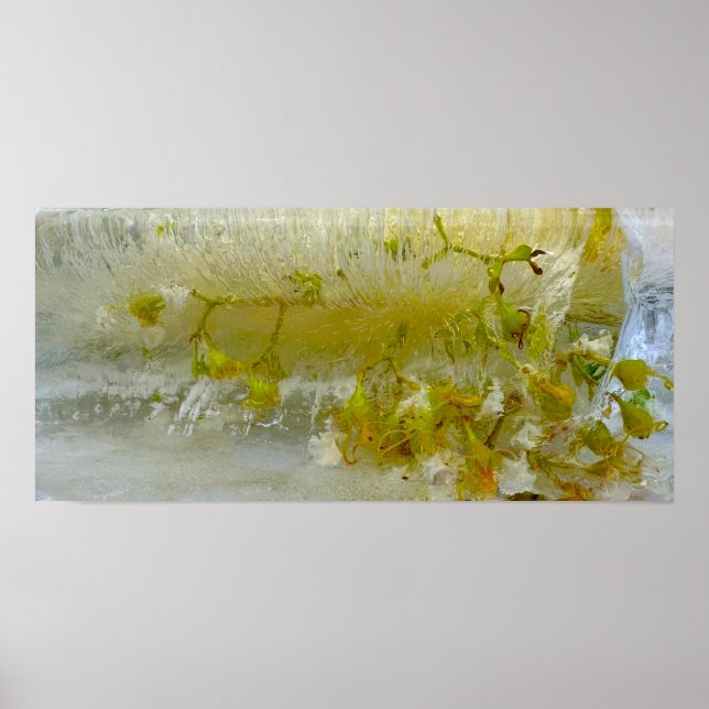 Eisblüten, Poster (Vorne)