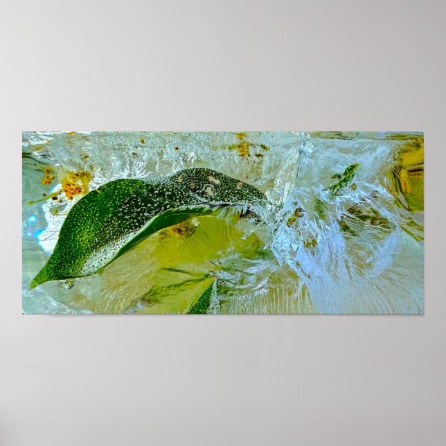 Eisblüten, Poster (Vorne)