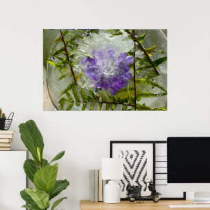 Eisblüten, poster