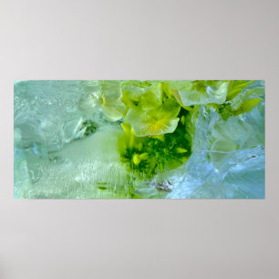 Eisblüten, Poster