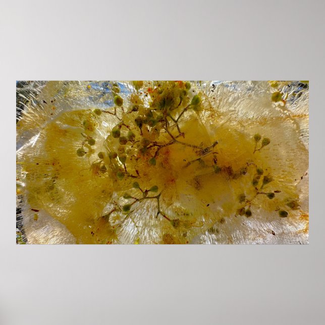 Eisblüten, Poster (Vorne)