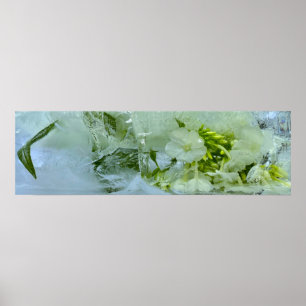 Eisblüten, Poster