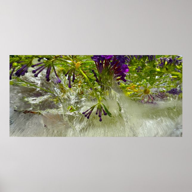 Eisblüten, Poster (Vorne)