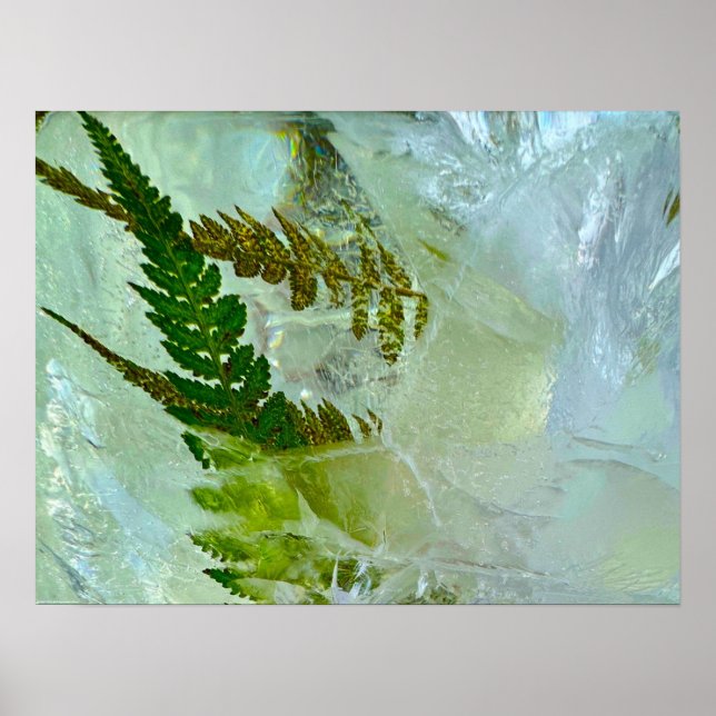 Eisblüten, Poster (Vorne)