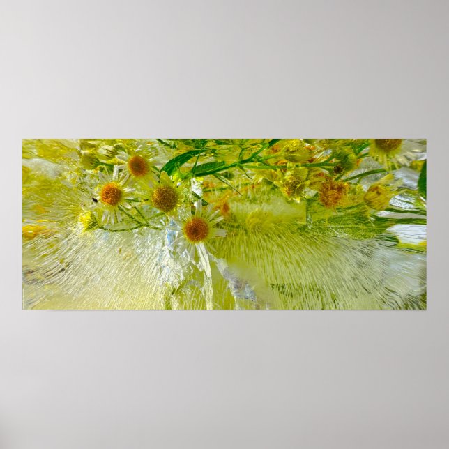 Eisblüten, Poster (Vorne)