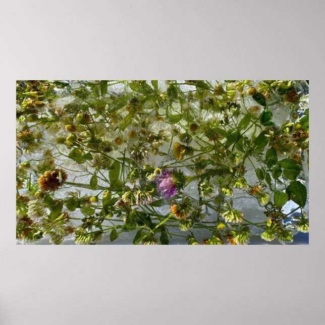 Eisdicken und Kleber, Poster (Vorne)