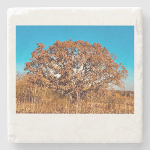 Eiseiche mit Fall Sonnenaufgang Glühstein Unterse Steinuntersetzer