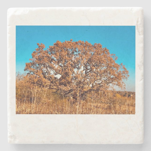 Eiseiche mit Fall Sonnenaufgang Glühstein Unterset Steinuntersetzer (Vorderseite)