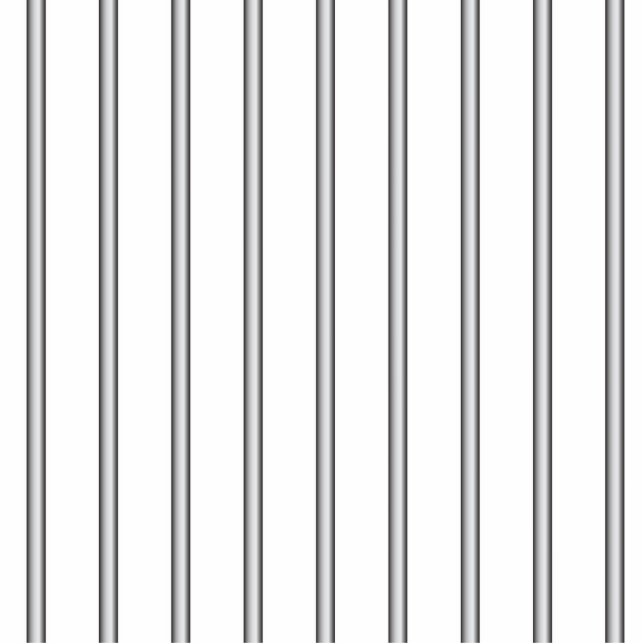 Eisen-Gefängnis-Stangen Fotoskulptur Magnet (Vorne)