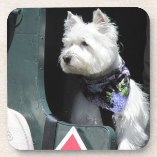 Eisenbahn-Terrier-Hund Getränkeuntersetzer