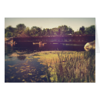 Eisenbahnschienen über den Fluss