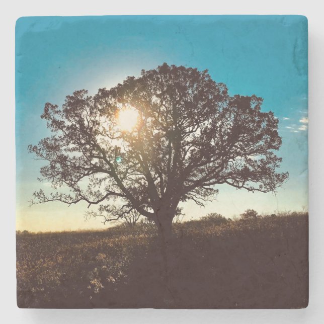 Eisenerz-Baum am Sonnenaufgang Untersetzer (Vorderseite)