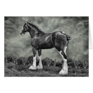 Eisernes Pferd Steele