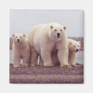 Eisfamilie Magnet