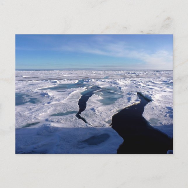 Eisfelder im Nordpolarmeer Postkarte (Vorderseite)
