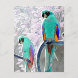 Eisfelsen Postkarte
