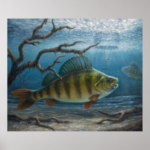 Eisfischen auf Barsche Poster