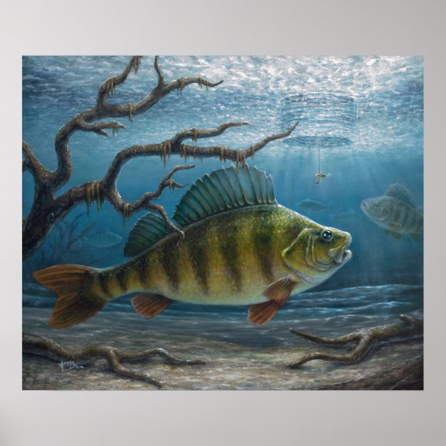 Eisfischen auf Barsche Poster (Vorne)