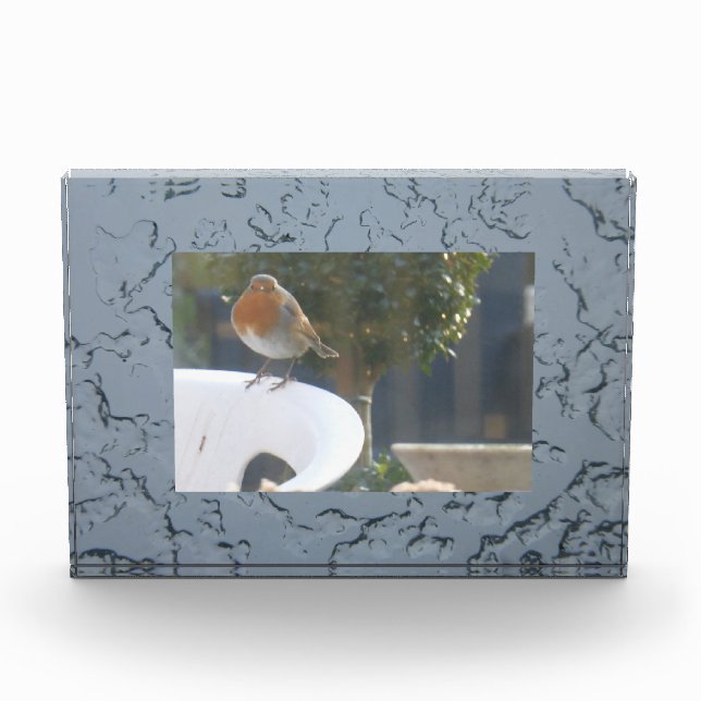 Eisfläche auf Teichblock Foto (Vorderseite)
