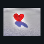 Eisherz Postkarte<br><div class="desc">Herz scheint auch in der eiskalten Kälte</div>