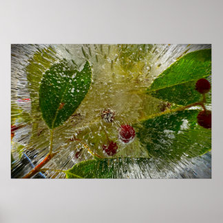 Eisige Blüten Poster