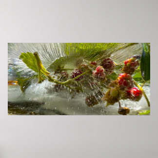 Eisige Blüten Poster