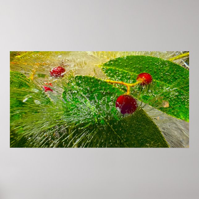 Eisige Blüten Poster (Vorne)