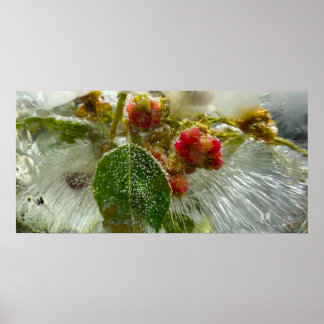 Eisige Blüten Poster