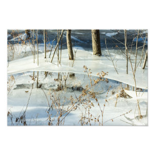 Eisige Marsch-Eis-Winterlandschaft, feine Kunst Fotodruck