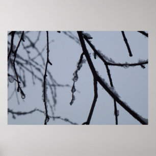 Eisige Zweige Winter Naturfotografie Poster