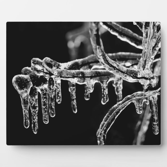 eisiger Winter eintreten Fotoplatte (Vorderseite)