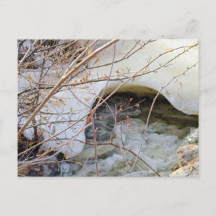 Eisiger Winter schmilzt Postkarte