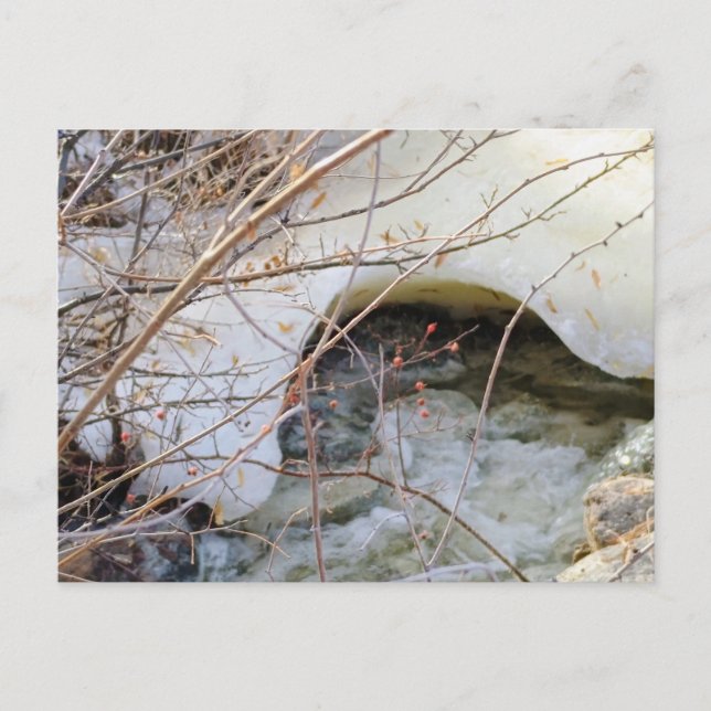 Eisiger Winter schmilzt Postkarte (Vorderseite)