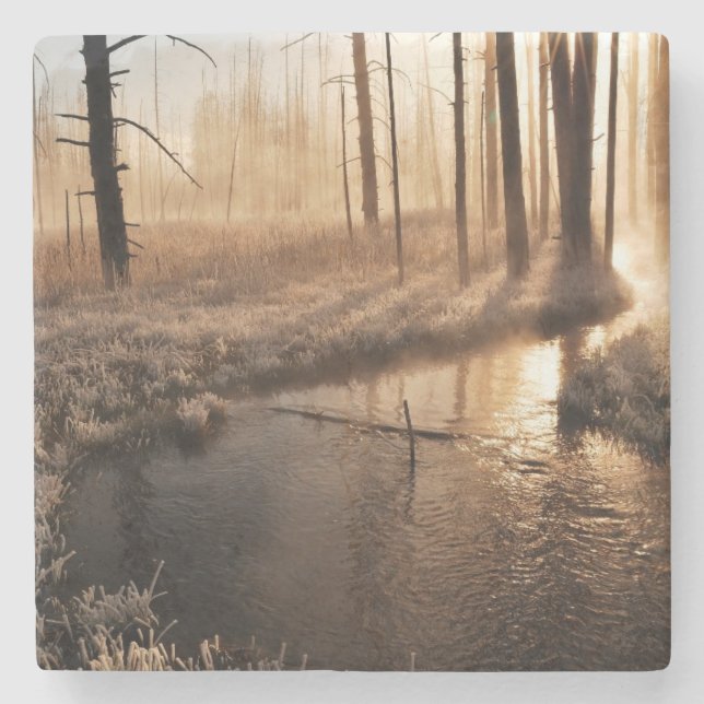 Eisiger Yellowstone-Morgen Steinuntersetzer (Vorderseite)