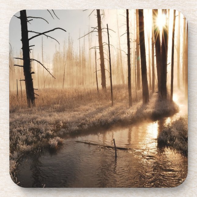 Eisiger Yellowstone-Morgen Untersetzer (Vorderseite)