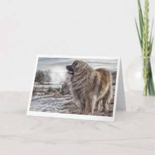 Eiskalte Leonberger Grußkarte Karte