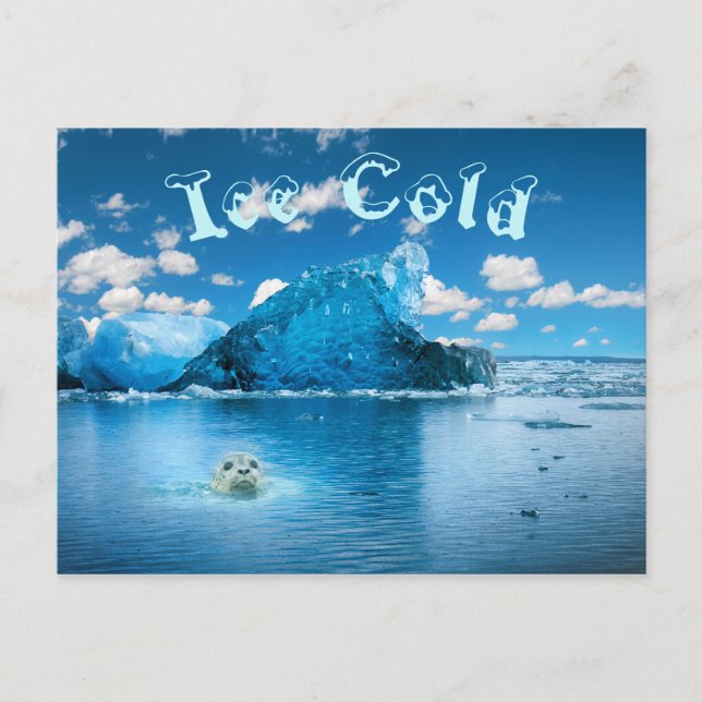 Eiskalter Spaß Postkarte (Vorderseite)