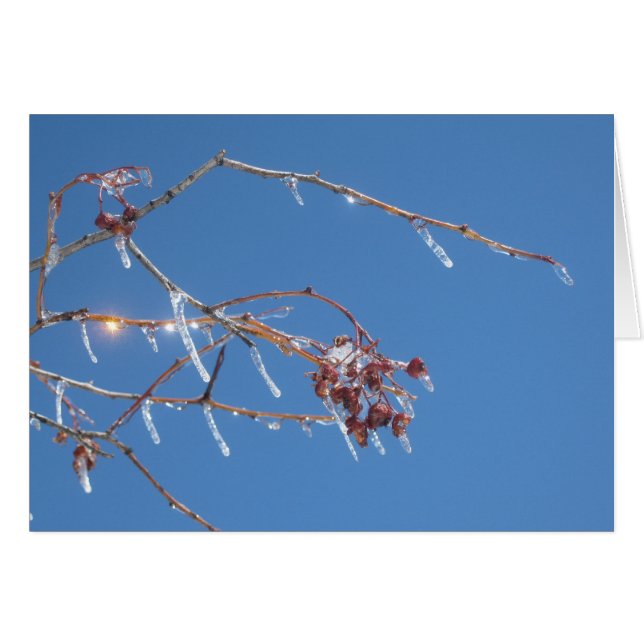 Eiskeln funkeln in Sonnenlicht gegen den blauen Hi (Vorderseite (Horizontal))