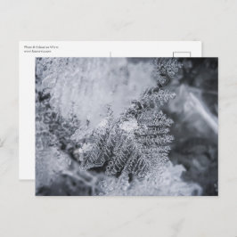 Eiskristall-Foto Postkarte