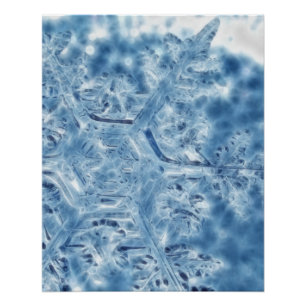 Eiskristall Fraktal Snowflake Poster