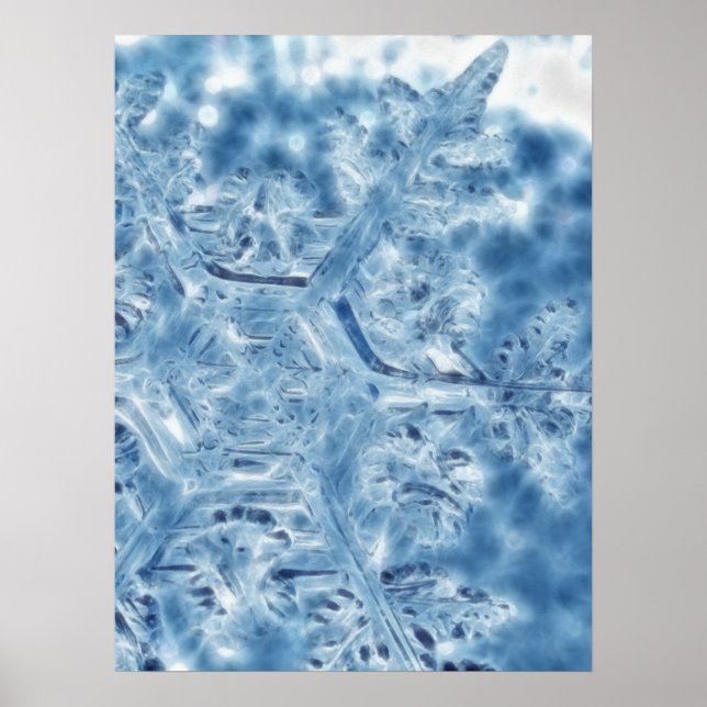 Eiskristall Fraktal Snowflake Poster (Vorne)