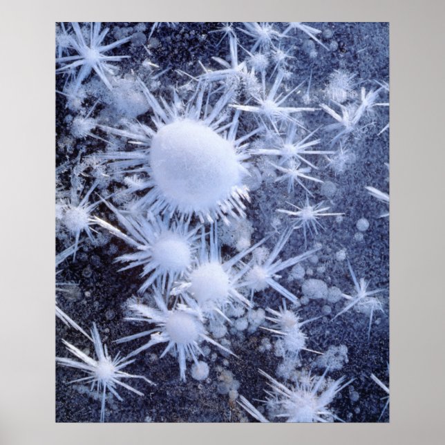 Eiskristalle in der Sierra Poster (Vorne)