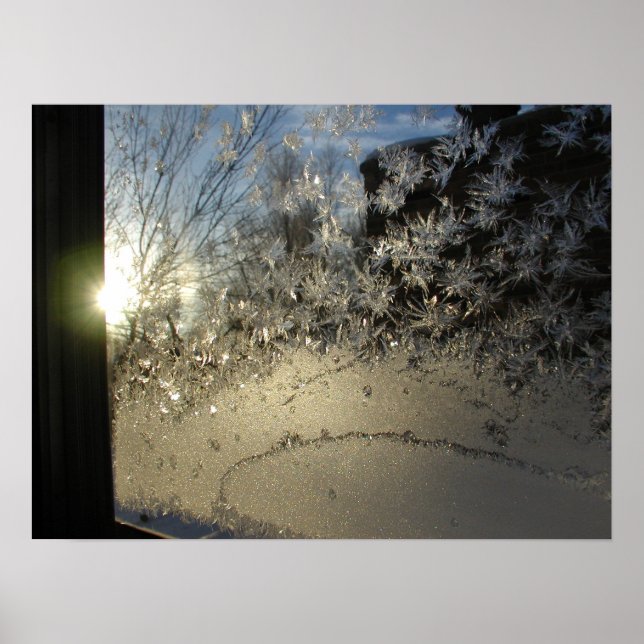 Eiskristalle Poster (Vorne)