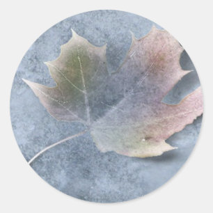 Eisleaf, gefroren runder aufkleber