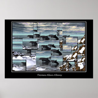 Eisschildkröten Poster